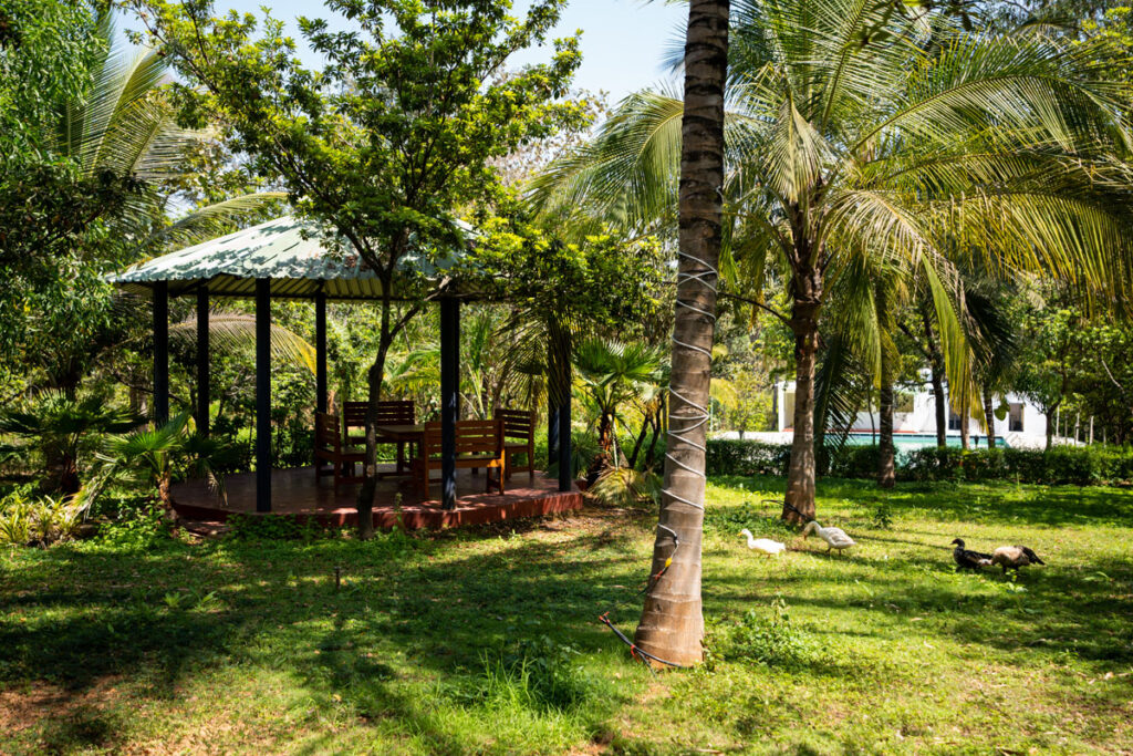 best restaurant for family gatherings